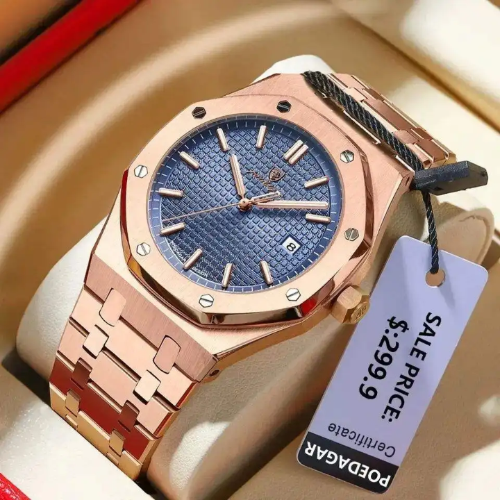 Montre Poedagar Haut de Gamme pour Homme – Élégance & Puissance au Poignet