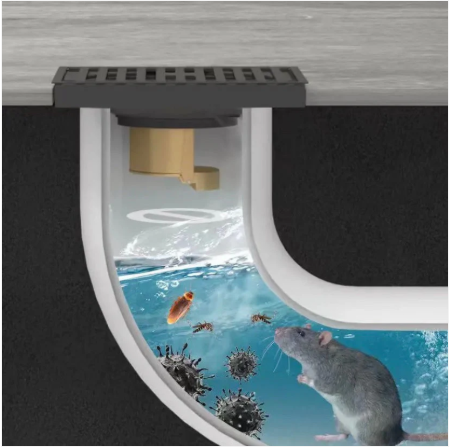 Bouchon anti-odeur pour toilettes & éviers — bloque mauvaises odeurs ET insectes à la source