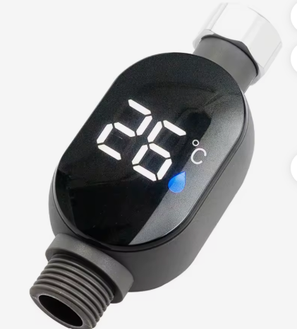 Thermomètre de Douche